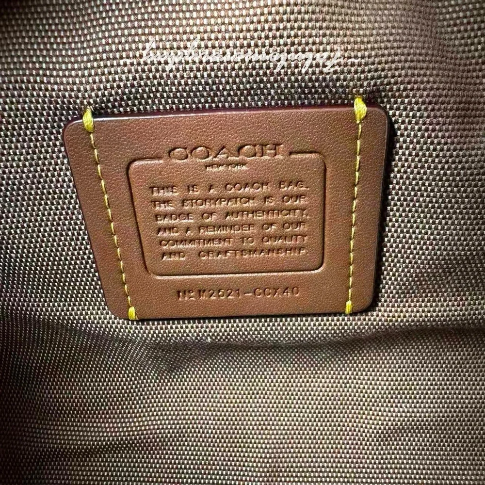 Coach Compass Bag 25 Crossbody/Shoulder In Suede/Gold/Warm Brown CCX40 NWT